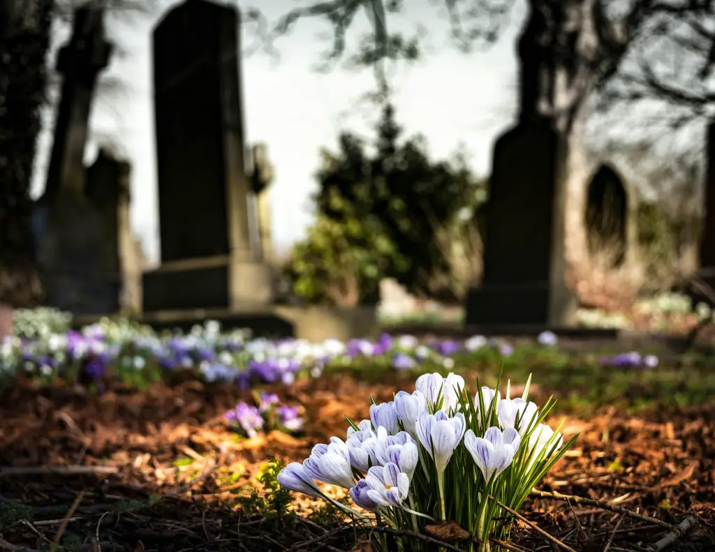 can funeral expenses be tax deductible